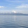 Picture of 周楷闳 23317243