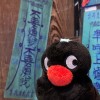23348248史皓宇的头像