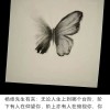 23348395周璐的头像
